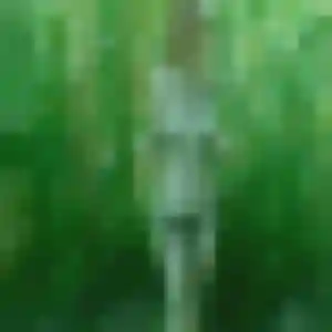 Profil de Perpétue à Gamarde-les-Bains (34 ans) - plan cul anonyme