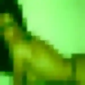 Yaa, fille de 28 ans cherche plan cul à Ghisonaccia
