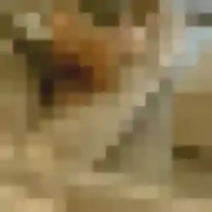 Djénéba, 42 ans, connectée à Gondrecourt-le-Château pour une rencontre coquine