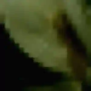 Sandrine, 37 ans, dispo pour plan cul à Gouesnou