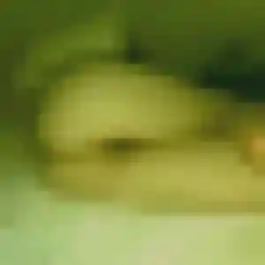 Peace, 24 ans, cherche un plan cul à Grainville-sur-Odon