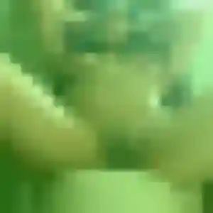 Sexy Sonia, 45 ans à Gray - découvrir son profil