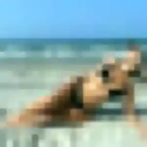Belle Coralie, 24 ans à Grigny - voir sa photo
