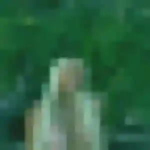 Photo perso de Sarjo, 31 ans à Grues - rencontre coquine