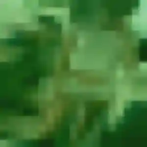 Akouavi, 41 ans, connectée à Guerlédan pour une rencontre coquine