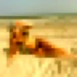 Photo sexy de Kiné, 41 ans à Gunsbach - rencontre sans lendemain