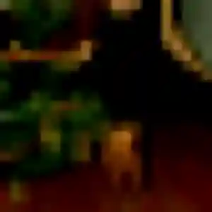 Découvre Efua, 32 ans à Hagenthal-le-Bas en privé