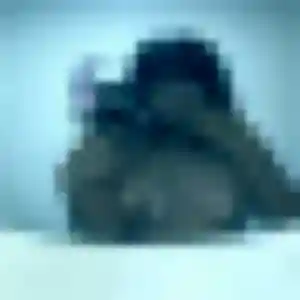 plan cul à Hagetmau : profil de Zineb, 38 ans - accès libre