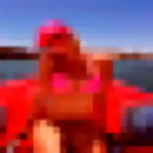 Photo privée de Zoé, 45 ans à Haisnes - rencontre sans lendemain