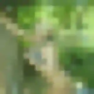 Photo de Félicité à Hangest-en-Santerre (24 ans) - plan cul gratuit