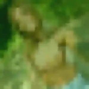 Photo de Muthoni à Hémonstoir (31 ans) - plan cul gratuit