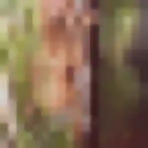 Laura, 44 ans, en ligne à Hendaye pour un plan cul