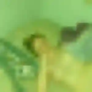 Brigitte, femme de 32 ans propose plan cul à Hesdin