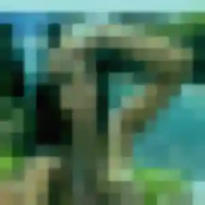 Dienaba, 34 ans, connectée à Heudicourt pour une rencontre coquine