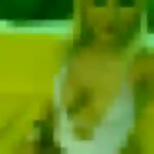 Photo privée de Dalila, 29 ans à Hindisheim - plan discret