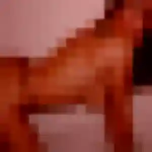 Assétou, 37 ans, dispo pour plan cul à Houplines