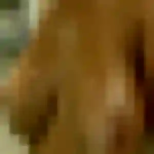 Découvre Stéphanie, 45 ans à Houx en privé