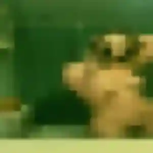 Photo privée de Faith, 22 ans à Hudimesnil - rencontre sans lendemain