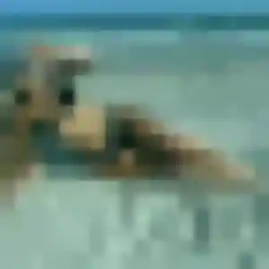 Profil de Abibatou à Hulluch (26 ans) - plan cul gratuit