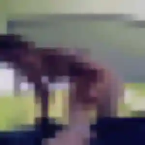 Jolie Precious, 26 ans à Illeville-sur-Montfort - découvrir son profil