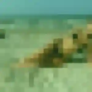 Photo sexy de Shanelle, 41 ans à Ingersheim - rencontre sans lendemain