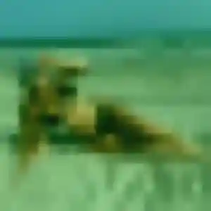 plan cul à Issenheim : photo de Akua, 44 ans - accès libre