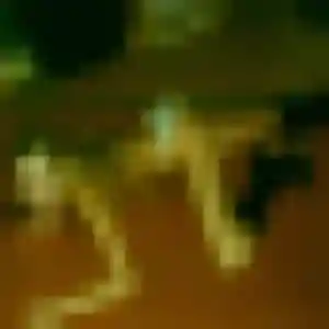 Pénélope, 36 ans, connectée à Jonquières-Saint-Vincent pour une rencontre coquine
