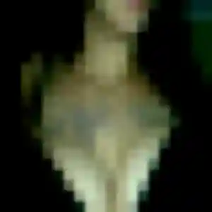 Wivine (23 ans) à Jouy-en-Josas cherche un plan cul maintenant