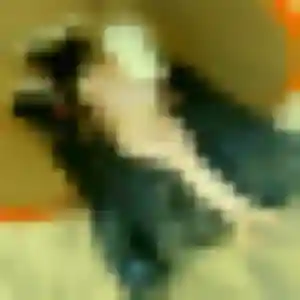 Photo privée de Bola, 25 ans à Kaltenhouse - rencontre coquine