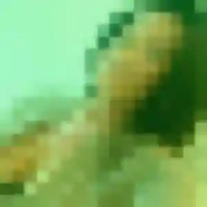Cindy, 41 ans, disponible à L'Île-Rousse pour une rencontre coquine