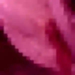 Photo exclusive de Dienaba, 44 ans à La Celle-sur-Morin - plan discret