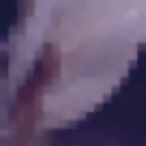 Sexy Lou, 28 ans à La Chambre - découvrir son profil