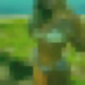 Shanelle, fille de 27 ans veut plan cul à La Chapelle-Heulin
