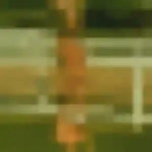 Photo de Nadège à La Courtine (31 ans) - plan cul anonyme