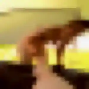 Photo perso de Naomie, 24 ans à La Francheville - plan discret