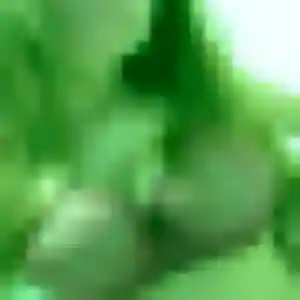 Faith, 44 ans, en ligne à La Gacilly pour un plan cul