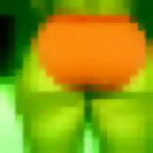 Precious, femme de 34 ans cherche plan cul à La Londe-les-Maures