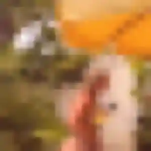 Photo perso de Zélie, 34 ans à La Londe-les-Maures - rencontre coquine