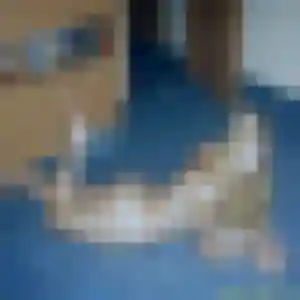 Fanny, 30 ans, dispo pour plan cul à La Lucerne-d'Outremer