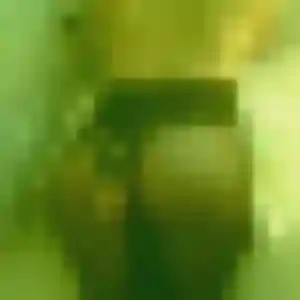 Photo sexy de Afi, 35 ans à La Norville - plan discret