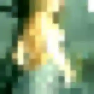 Belle Kimberley, 38 ans à La Rabatelière - la contacter