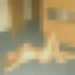 Photo de Esi à La Roche-sur-Yon (39 ans) - plan cul discret