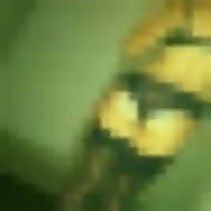 Photo privée de Neema, 23 ans à La Salvetat-Peyralès - rencontre sans lendemain