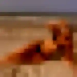 Photo de Jennifer à La Selle-sur-le-Bied (22 ans) - plan cul anonyme