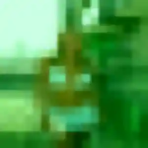 Profil de Naëlle à La Terrasse-sur-Dorlay (36 ans) - plan cul gratuit