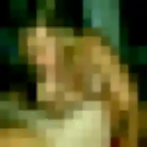 Photo perso de Zawadi, 45 ans à Labastide-Beauvoir - rencontre coquine