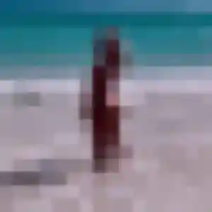 Sexy Solange, 35 ans à Labourse - voir sa photo