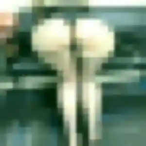 Salma (32 ans) à Lalbenque propose une rencontre ce soir