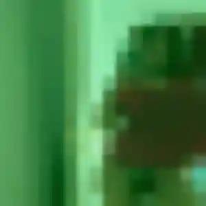 Rencontre Diary, 35 ans à Lampaul-Ploudalmézeau en privé
