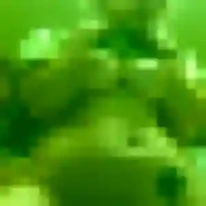 Photo exclusive de Adeola, 29 ans à Landudal - rencontre coquine